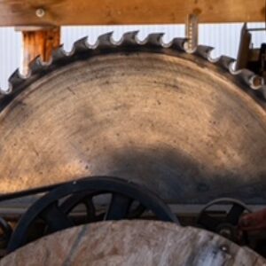 photo Still Sharp - Taken late morning at the sawmill on November 19, 2023 by Jonathan Miller