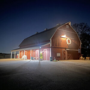 photo Buttoned-Up on a Cold Winter Night - Taken on a cold winter night in December just before Christmas. by Bradly Hunt