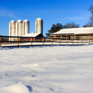 photo Snowscape - Taken behind the duck pond, overlooking the farm complex on January 22, 2024 by Jennifer Hufford