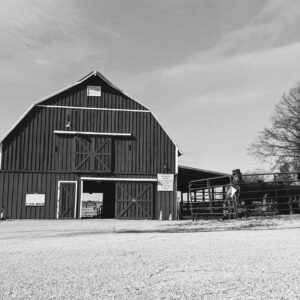 photo Shadow Look - Taken in February 2024 at Kinder Farm Park by Zoey Sowles (age 8)