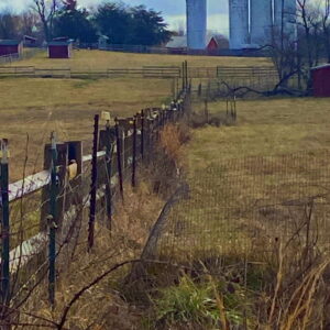 photo Fence Row - Taken February 22, 2024 by John E. Murphy