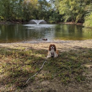 photo Walk in the Park - Taken at the Duck Pond on September 22, 2023 by Pat McCrary