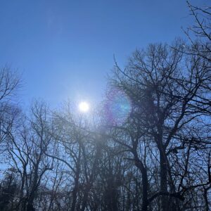 photo Here Comes the Sun - Taken at Kinder Farm Park on February 20, 2024 by Emily Strasberg (age 7)