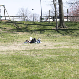 photo Reading with my Dog - Taken on hillside next to the Visitors Center on April 2, 2023 by Quan Tran