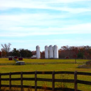 photo Kinder Farm Park in its Autumn Glory - Taken on a side path that goes behind the silos near where the perimeter trail meets the Blueberry Trail on November 17, 2023 by Mirjam Spaar