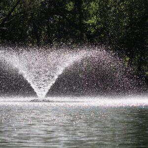 photo A Sparkling Fountain - Taken at the Duck Pond on September 27, 2023 by Connor Hedetniemi