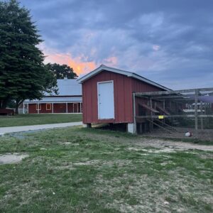 photo Brighter Days - The sun is fighting the clouds away. Taken near the pig barn on June 20, 2023 by Kolton Railsback (age 9)
