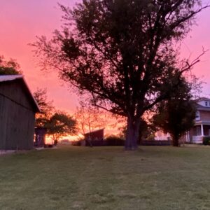 photo Afiery Sky at Kinder - When we came out of the barn on September 22, 2023, and saw the sky, at first glance it looked as though the fields were on fire.  A second look told us it was a phenomenal sunset, thankfully! by Juli Railsback