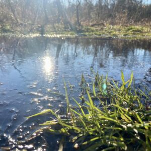 photo Quiet Waters - Taken on quiet path through the Kinder Farm Park Trails on February 19, 2024 by Jordyn Railsback