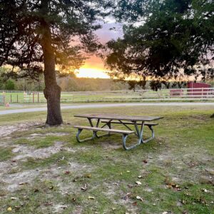 photo There Goes the Sun - The Sun gives a final farewell wave as it slips over the horizon near the bunny hutch at Kinder Farm Park on October 21, 2023 by Jordyn Railsback
