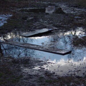 photo Mud Puddle - Taken while walking the trail near the bottom of the fields on February 17, 2024 by Bryan Pegues (age 12)
