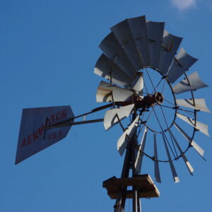 photo Sky Dancer - Taken near the Kinder Far Visitors Center on February 17, 2024 by Bryan Pegues (age 12)