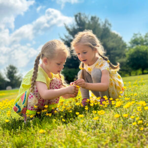 photo Friends in Yellow Flowers - Taken on the hill near the small playground on May 8, 2023 by Jaime Dalbke