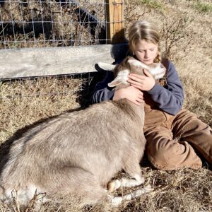 photo A Girl and her Goat on a Sunny Winter Day - After working hard cleaning the goats stall and feeding the goats, the girl was found napping in the sun with her goat, or perhaps they were having a heart-to-heart talk.  She says her goat understands her best!  Taken behind the cow barn on January 3,2024 by Juli Railsback