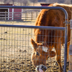 photo Munch Time - Taken on a sunny morning on February 26, 2025. by Katie Cortina