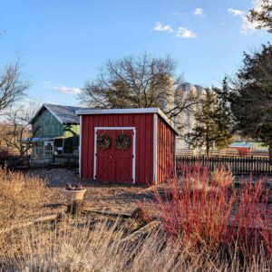 photo Never-ending Holidays - Taken on a sunset walk by the farmhouse garden on February 10, 2025. by Jewelene Carter