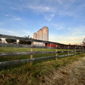 photo Silos in the Summer - Taken on a summer afternoon in 2024. by Lucy Perkowski (age 10)