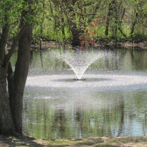 photo Pond Fountain - The fountain was doing a good job keeping the water clear that pretty spring day on April 16, 2024. by Karen Schoenaar