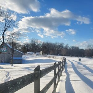 photo Snowy Solitude - Taken near the visitor entrance to Kinder Farm during January 2025. While the hills were full of sledders, the rest of Kinder was quiet. by Kathryn Pegues