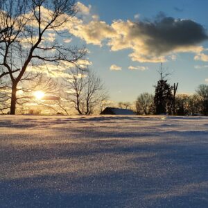 photo Natural Glitter - The photo was taken near the entrance to the garden area facing towards the visitor center in January 2025. It was a cold windy day, and I tried to capture the snow being pushed by the wind across the icy surface by Kathryn Pegues