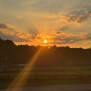 photo Golden Hour - Taken near the cow barn on October 3, 2024. by Gianna Stavrevski