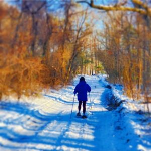 photo Ice, Ice, Baby - Taken along the Blackberry Trail while exploring with snowshoes, during the polar vortex on January 16, 2025. by Adam Pegues