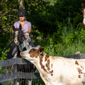 photo Unexpected Company - Taken along the fence line of the main pasture on May 3, 2024. by Jessica Phipps