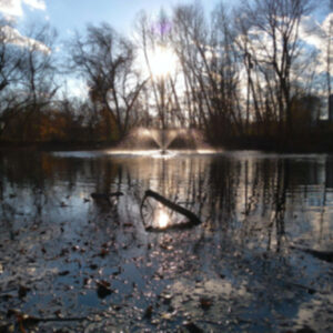 photo Fountain of Peace - Taken in December at the Duck Pond. by Camden Steelman