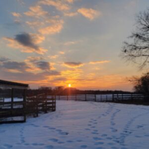 photo Winter Wonder Farm - A quiet evening snowy sunset at Kinder Farm Park on February 7, 2025. by Gavin Carlin