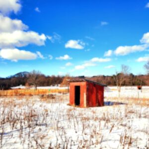 photo Shelter - Taken February 8, 2026, at the Apprentice Garden, during the extreme polar vortex freeze. by Adam Pegues