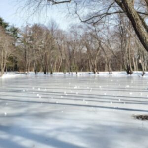 photo Solitude - The photo was taken of the frozen pond in February 2026. Due to the snow and ice, the park had few visitors. We saw only one other adventurer in the back of the park. by Kathryn Pegues