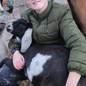 photo Kid to Kid Connection - Gavin snuggling with his goat Oreo (nubian doeling) and getting investigated by Angel (oberhasli doeling) after completing farm chores with his furry friends in the Large Dairy Squad as an active FLEP volunteer and 4H member in the Nursery Field on December 2, 2025. by Margaux Carlin